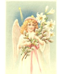 WHO TEACHES ANGELS HOW TO FLY