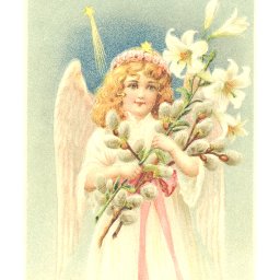 WHO TEACHES ANGELS HOW TO FLY