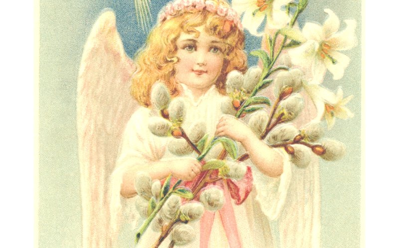 WHO TEACHES ANGELS HOW TO FLY