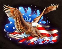 WINGS ON THE EAGLE