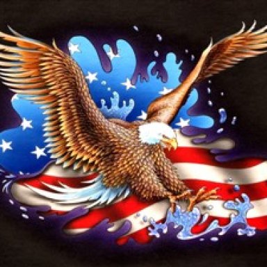 WINGS ON THE EAGLE