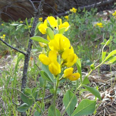 Peace Is In Our Nature