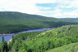 Youve all heard the story