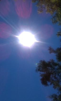 The Guiding Light
