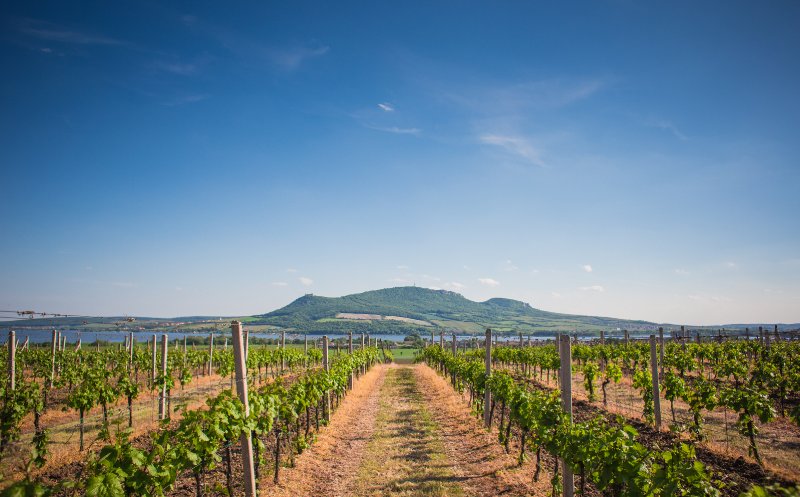 He Didn't Have To Love Me