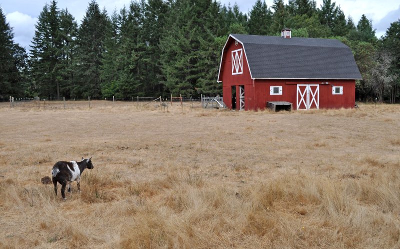 Yes sir,He's my master