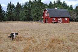 He's the Master Architect