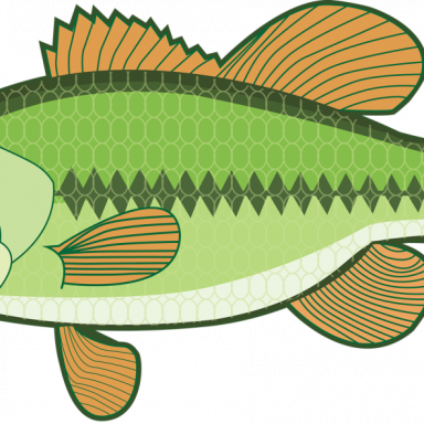 Finya the Fish