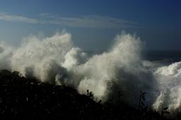 SHE'S NEVER BEEN WITHOUT HIM