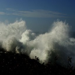 SHE'S NEVER BEEN WITHOUT HIM