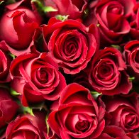 Amazing Love, Amazing Grace ( Key D)