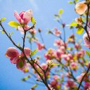 What Are We Praying For (Key E)