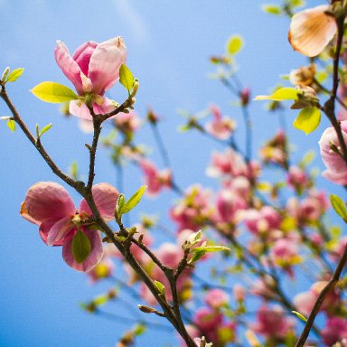 Do You Believe Or Do You Not ( Key A)