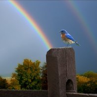 Audience of One ( Key D)