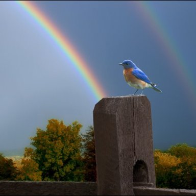 He's Still Alive ( Key A)