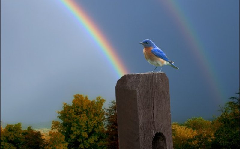 He Who Had No Sin (Key F)