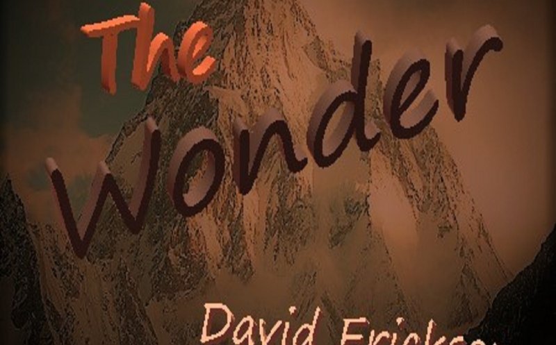 The Wonder Of Your Love