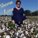 Those Cotton Fields in Tennessee 