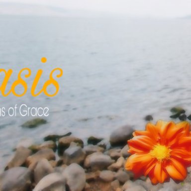 Oasis