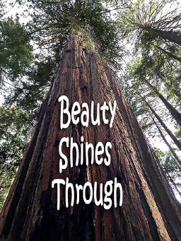 Beauty Shines Through