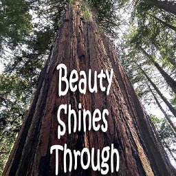 Beauty Shines Through