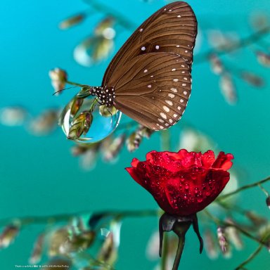 He's Making You Beautiful