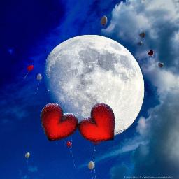 Love Covers All Those Sins