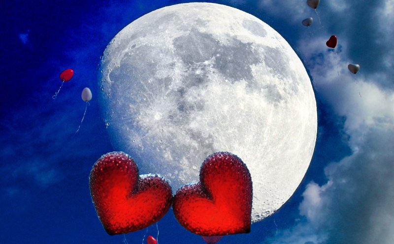 Love Covers All Those Sins