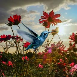 All Things Bright And Beautiful