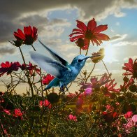 All Things Bright And Beautiful