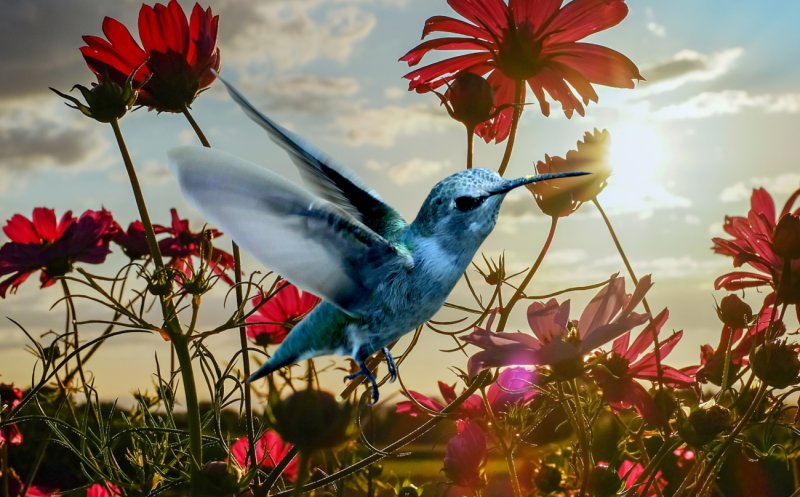 All Things Bright And Beautiful