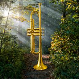 I Want A Closer Walk