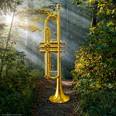 I Want A Closer Walk