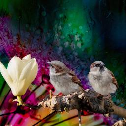 Let Not Your Heart be Troubled