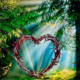 We Are Healed