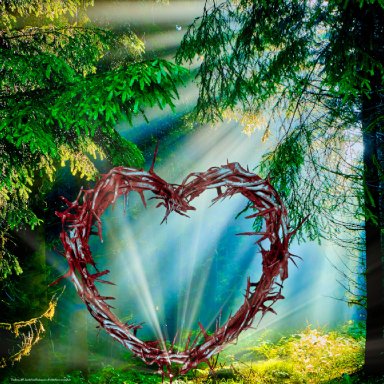 We Are Healed