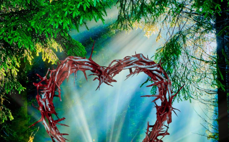 We Are Healed