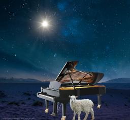 Shepherds In The Field