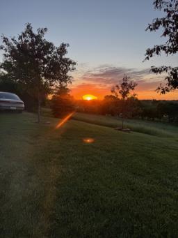 If I Were a Preacher