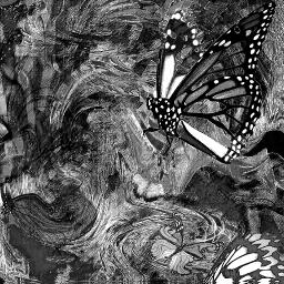 Veil Of Eden