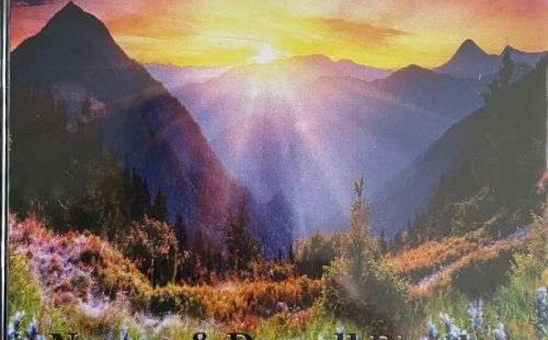 I Can't Do Everything