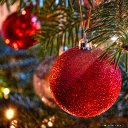 One Fine Christmas