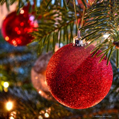 One Fine Christmas
