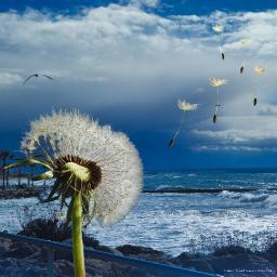 God And The Wild Wind