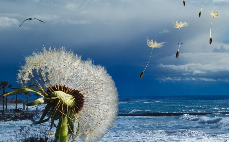 God And The Wild Wind