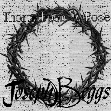 Thorn Upon A Rose