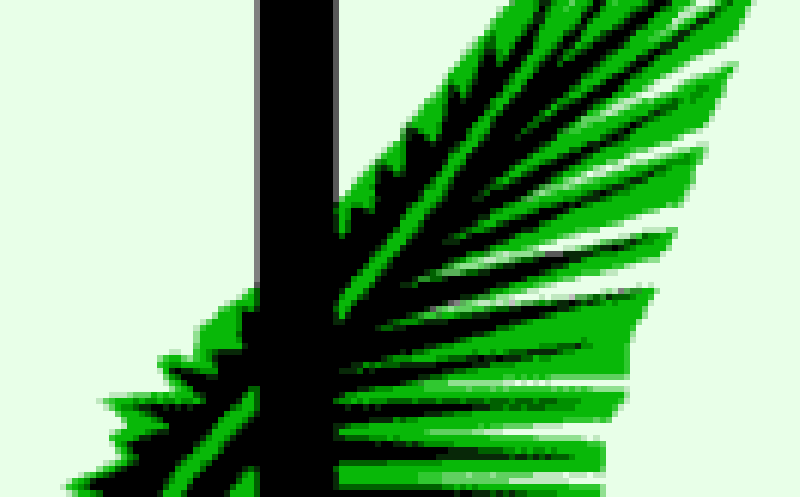 Grace through Struggle