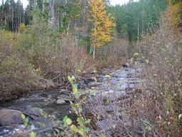 The Place I Was Before