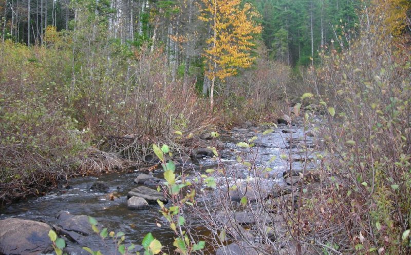 The Place I Was Before