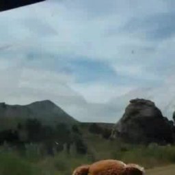 spontaneous praise 4  You are my sunshine You are sunshine You are my rain  by ddt 9132k11